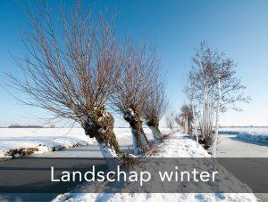 landschap-winter