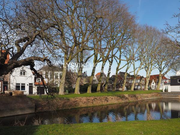 Waterpartij met bomenrij in Schoonhoven [907154]