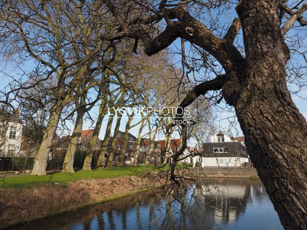 Bomen aan waterpartij in Schoonhoven [907155]