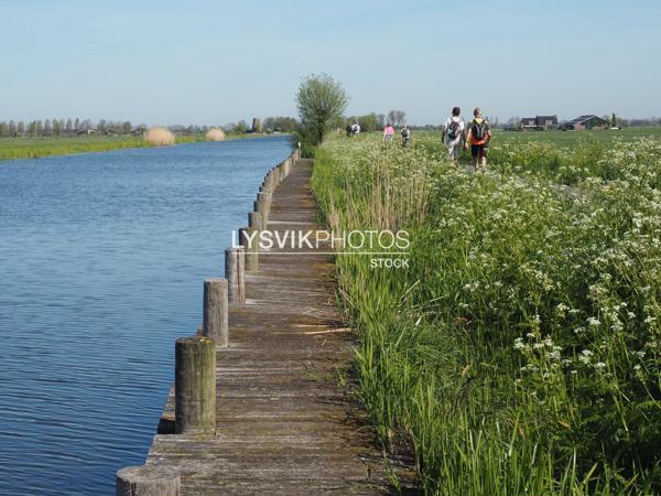 Steiger langs de Peursumsche vliet bij Giessenburg [00967033]