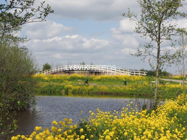 Doorkijkje naar fietsbrug in poldergebied [00993292]