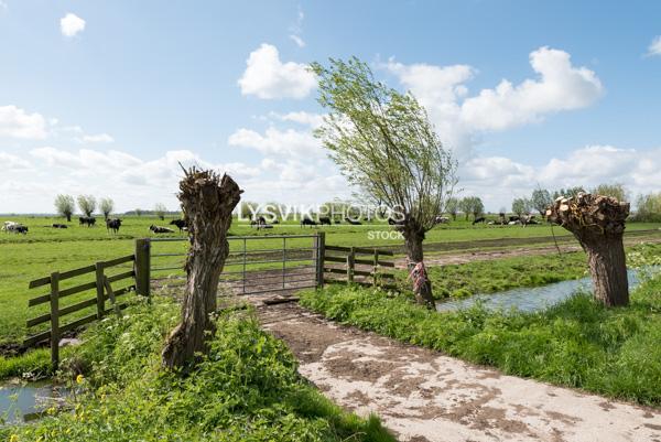 Polderlandschap met hek en bewolkte lucht in de omgeving van De Donk, Brandwijk