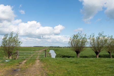 Polderlandschap met wilgen een hek en bewolkte lucht in de omgeving van De Donk, Brandwijk