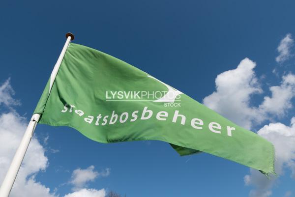 Vlag Staatsbosbeheer [1006066]