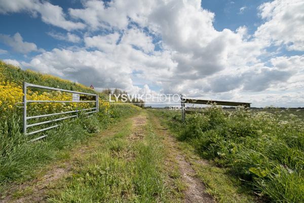 Polderlandschap met hek en bewolkte lucht in de omgeving van Streefkerk