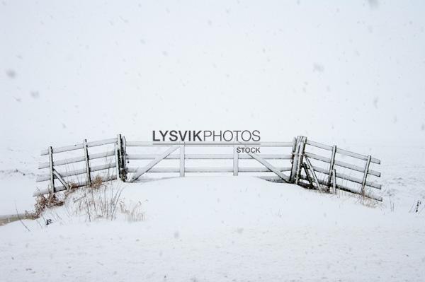 Besneeuwd polderlandschap met hek [IMGJ2124]