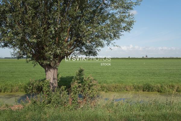 Polderlandschap Alblasserwaard [VTF3988]