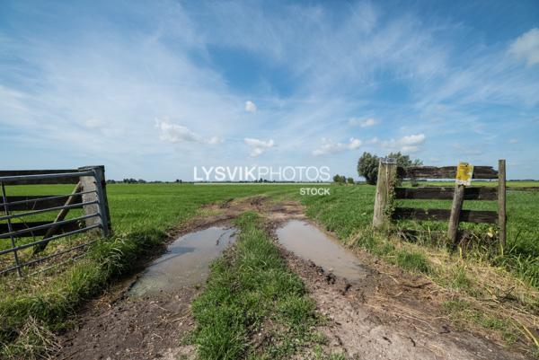 Weiland met hekwerk in Alblasserwaard [VTF4101]