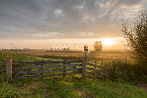 Polderlandschap Alblasserwaard bij zonsopkomst [01109301]