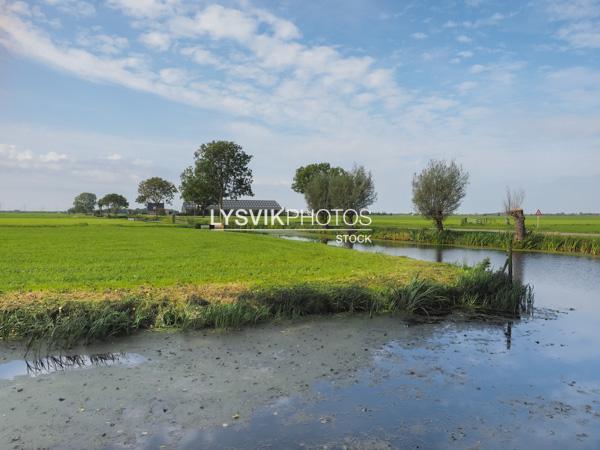 Polderlandschap met sloot, wilgen en boerderij [01109670]