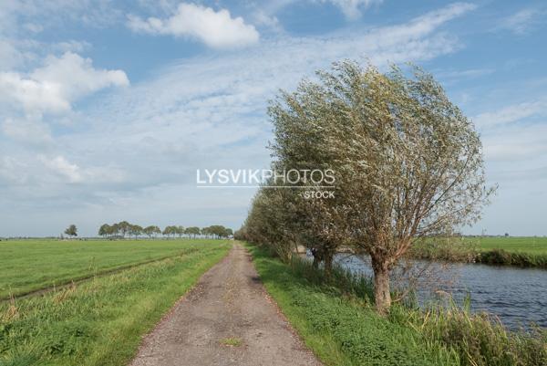 Polderweggetje met wilgen langs vliet [01110641]