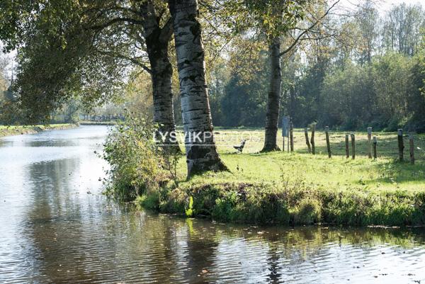 Bomen langs Sliedrechtse Binnenvliet [VTF7102]