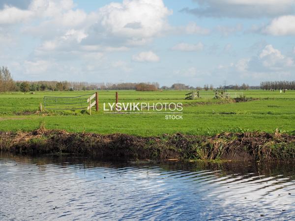 Polderlandschap achter Wijngaarden [01112218]