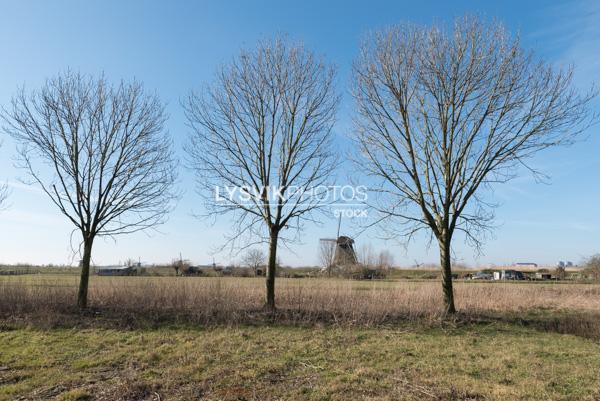 Polderlandschap bij Nieuw-Lekkerland [01118349]