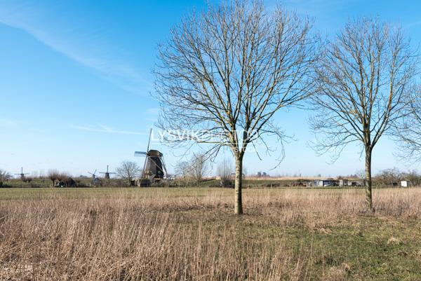 Polderlandschap bij Nieuw-Lekkerland [01118348]