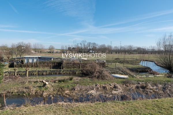 Polderlandschap bij Lekdijk Nieuw-Lekkerland