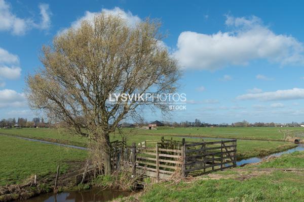 Polderlandschap Tiendweg Streefkerk