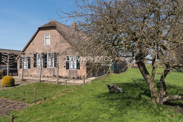 Monumentale boerderij Oosteinde 42 Wijngaarden