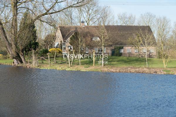 Boerderij met rieten dak in Oud-Alblas