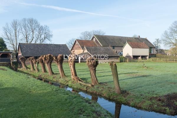 Oude boerderij met schuren in Oud-Alblas