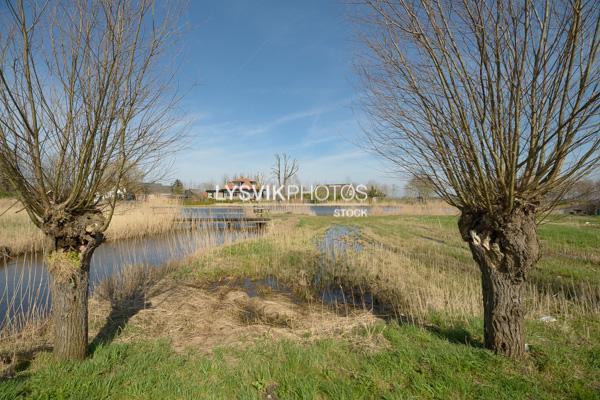 Doorkijkje tussen twee wilgen [0028180]