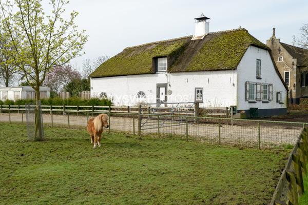 Oude Boerderij In Ottoland 0028491 Beeldbank Van De Alblasserwaard