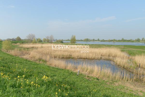 Buitendijkse gras en rietvelden langs de Lekdijk [0028705]