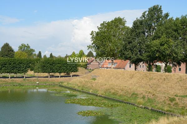 Blauwalg in wateren bij vestingwallen in Nieuwpoort [0030501]