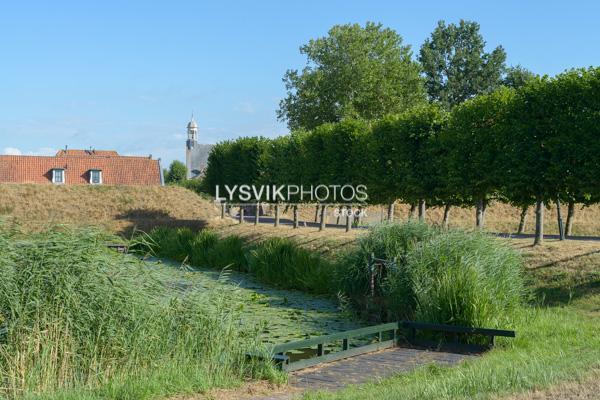 Nieuwpoortseweg met bomenrij [0030514]