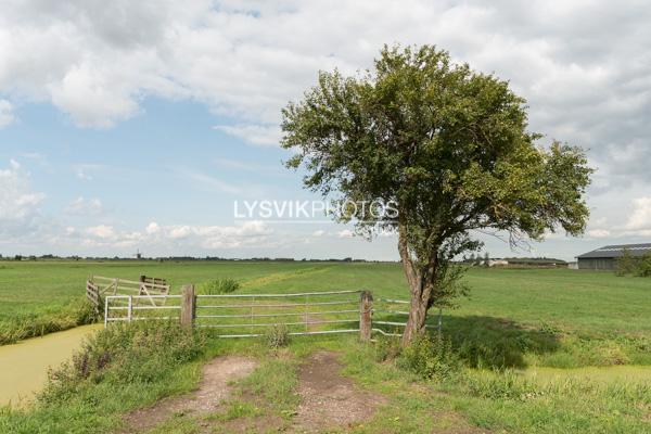 Poldergezicht Alblasserwaard [0030641]