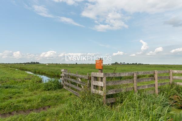 Hekwerk bij vogelbroed- en rustgebied Donkse Laagten [0030683]