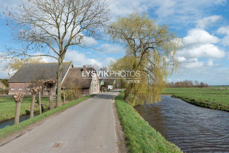 Treurwilg en boerderij aan polderweg [0032752]