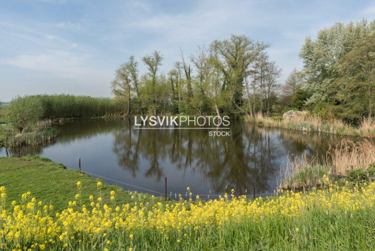 Waterpartij langs de Bazeldijk [D810159]