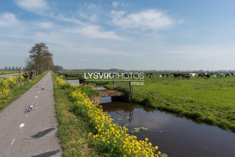 Fietspad in polder Noordeloos [D810204]