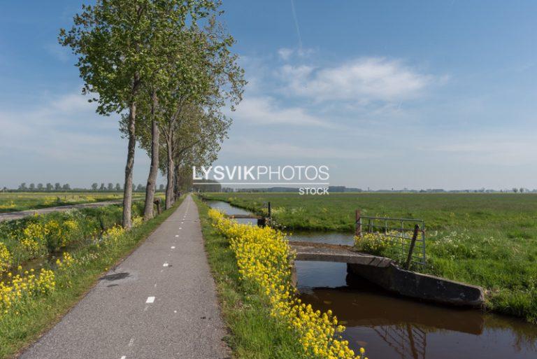 Fietspad in polder Noordeloos [D810210]