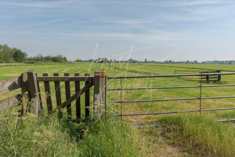 Hekje in wandelroute het Floris V-pad D810000340