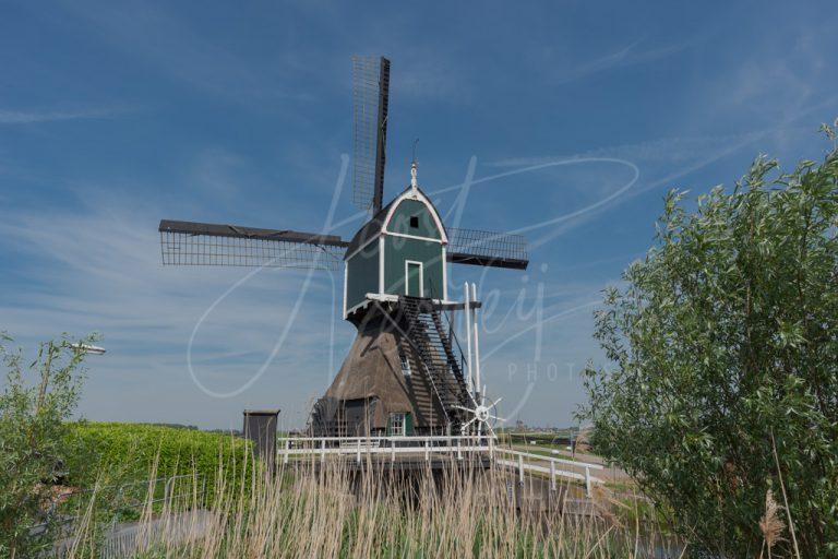 Achtelandse molen Groot-Ammers D810000375