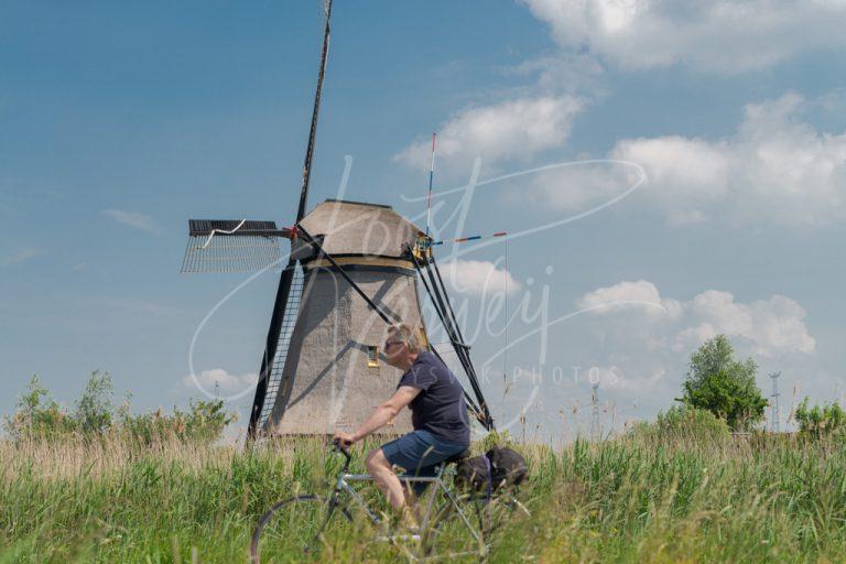 Fietsen bij de molens in de Kinderdijk D8E0032921