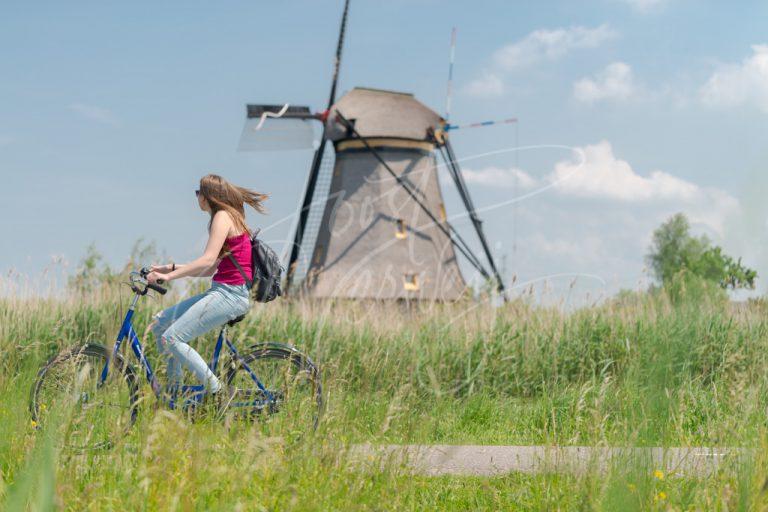 Fietsen bij de molens in de Kinderdijk D8E0032940