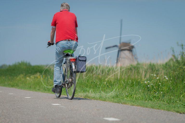 Fietser in de Alblasserwaard D8E0032980