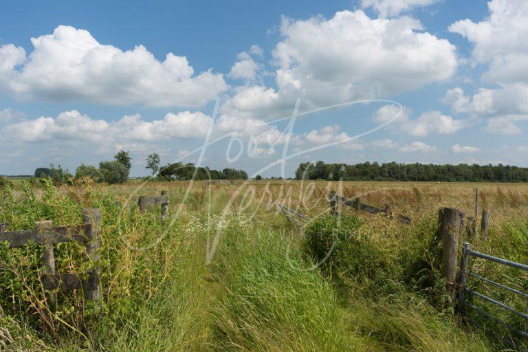 Natuurgebied de Donkse Laagten D8101425