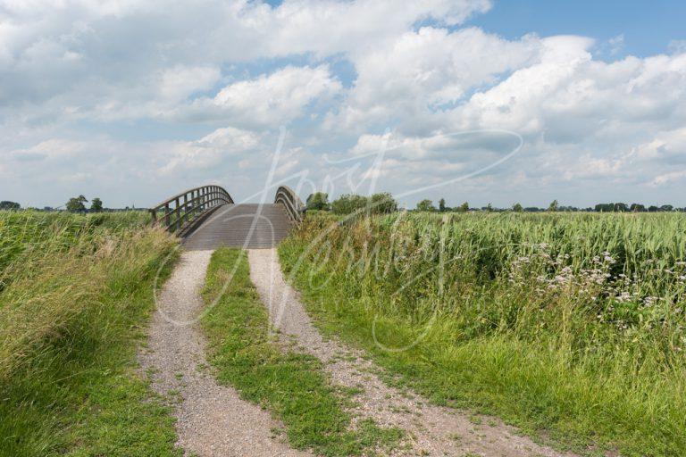 Houten brug in polderlandschap D8101435