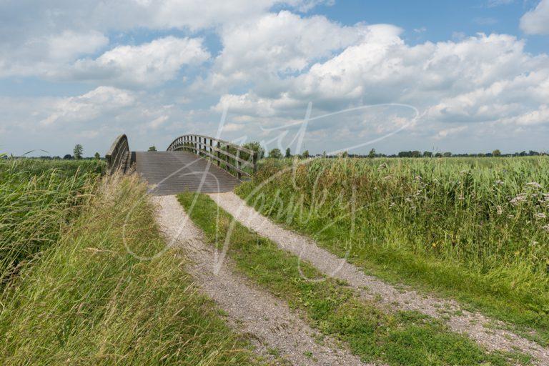 Houten brug in polderlandschap D8101436