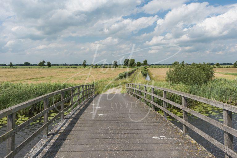 Houten brug in polderlandschap D8101441