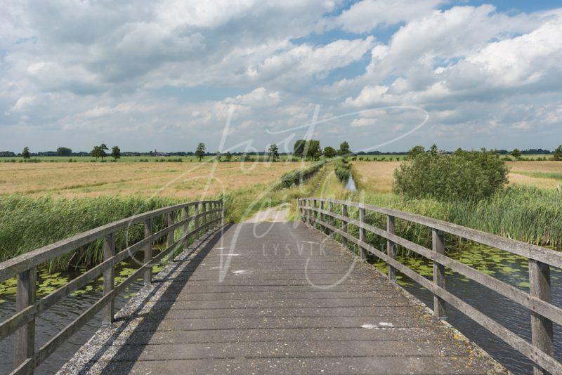 Houten brug in polderlandschap D8101441 Beeldbank van de Alblasserwaard