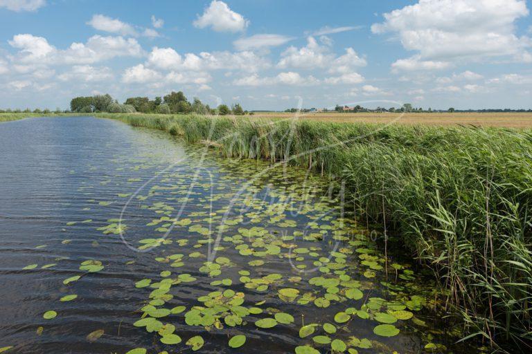 Uitzicht op het riviertje de Groote- of Achterwaterschap D8101445