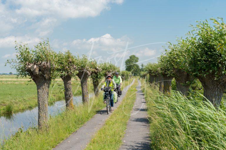 Fietsers in de Alblasserwaard D8E034211