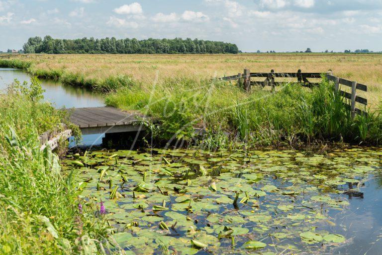 Polderlandschap Alblasserwaard D8E034216