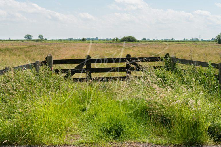 Polderlandschap Alblasserwaard D8E034219