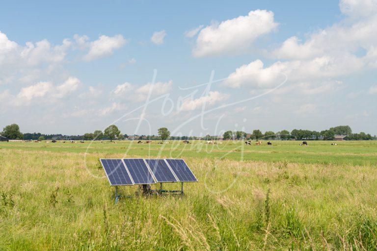 Zonnepanelen in weiland D8E034225